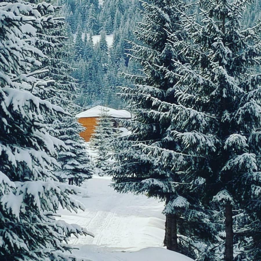 Resort Skrivena Berane Exteriör bild